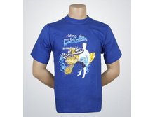 P-74a �����