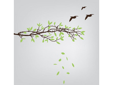 ����� �������.jpg