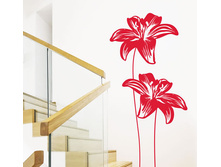 ������� �����.jpg