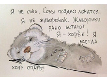 ������ ���� �����