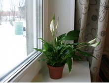 ���������� �������+/