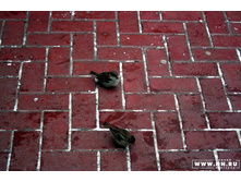 ��������� (��-��!..)