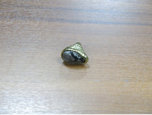 IMG_0411_����� ������.JPG