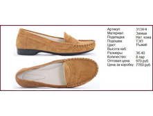 19. 3134-4 �������麐.jpg