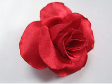 ������� ���� (������� ����������� ������)