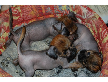 ��������������� 1