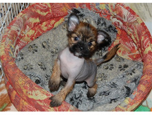 ���������������2