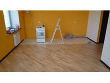 �����. �����