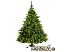 ��� ������ 1,5 �. ����  3650 �..jpg