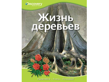 ����� ��������.jpg