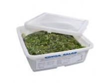 ����� ����. 2 ��/��. 260 ��� �� 1 ��.