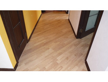 �����. ��������