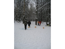 IMG_8983.JPG