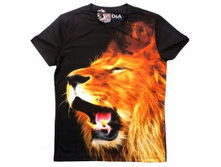 495 ���.���  .JPG