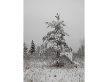 DSCN2312.JPG