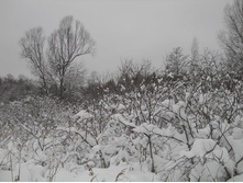 DSCN2313.JPG