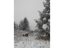 DSCN2314.JPG