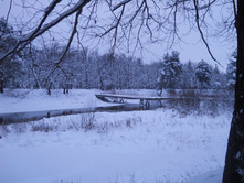 DSCN2329.JPG