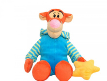 �����: 5 ����  ����: 350 ��� + ���. ����