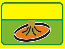 ������ 4.jpg