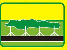 ������ 5.jpg