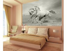 �������� ������ � �����.jpg