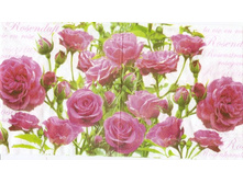 №140     1/2 ��������   10 �