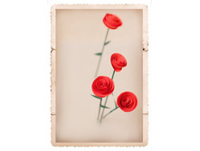 ���� ���_NR.jpg