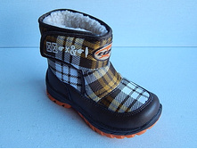 ������ 1125.JPG