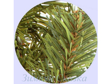 ��� ����������.jpg