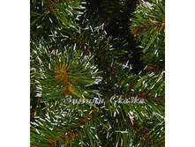 ������������� ���� �������.jpg