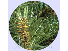 ������������� ��� ��������������.jpg