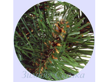 ������������� ��� ���������.jpg