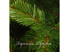 ������������� ��� �������������.jpg