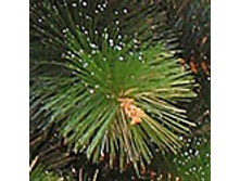 ������������� ����� �������� � �����.jpg