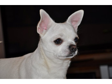 Recovered_JPEG Digital Camera_3807.jpg