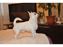 ������ 2.jpg