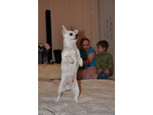 ������ ���.jpg