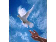 ���� \\\"����������\\\", 900 ���.