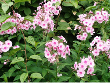 ��������*)