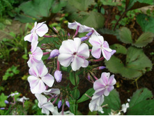 ��������� *)