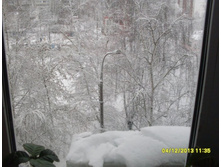 ���� ������ ������� :-)