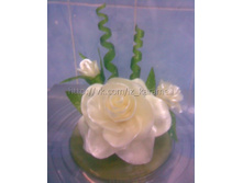 11.���� � �������� ���� 550�.jpg