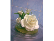 13.���� � �������� ���� 550�.jpg