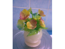 34.������� ��. � ���� ���� 700�.jpg