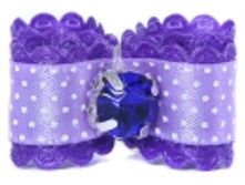 show_image_in_imgtag (13).jpg