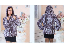 �������  ��-3-27.JPG  44-50