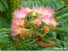 ������... � ��������