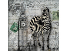 YS 18-1 ������.jpg