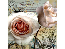 YS 20-1������.jpg